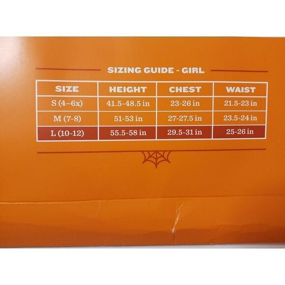 Girls Costume Mermaid Iridescent Rainbow Mermaid Costume Satin Mesh Large NWT - Picture 7 of 7